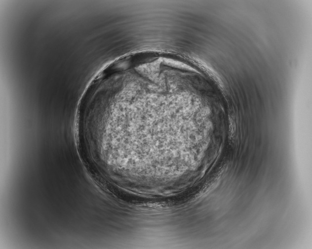 X0000096640580200802261300