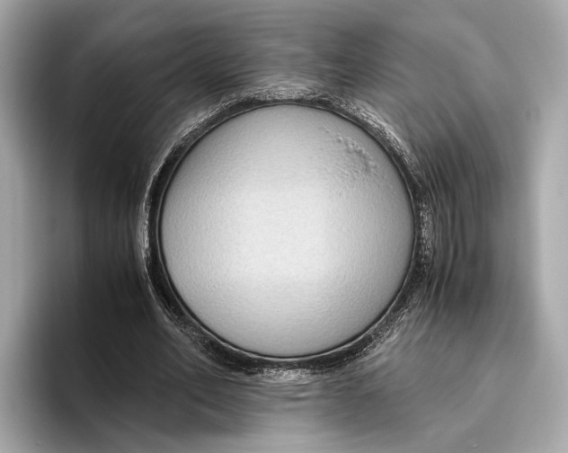 X0000096640582200802261300