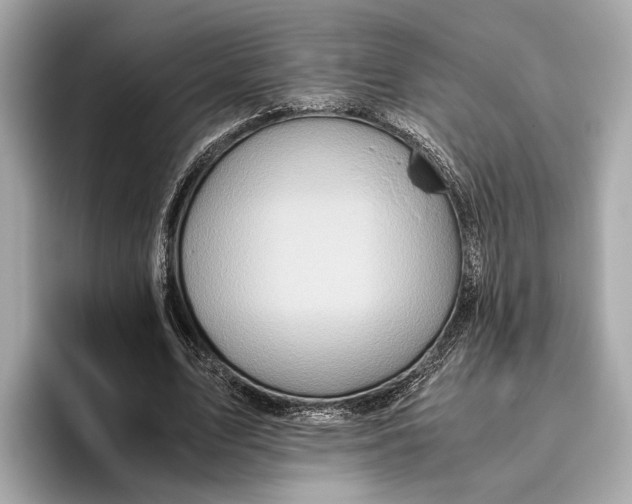 X0000096640583200802261300