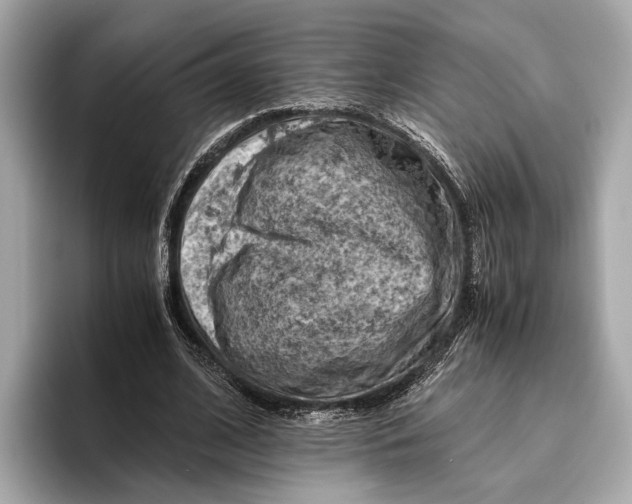 X0000096640584200802261300