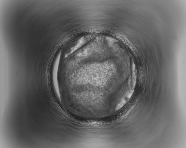 X0000096640585200802261300