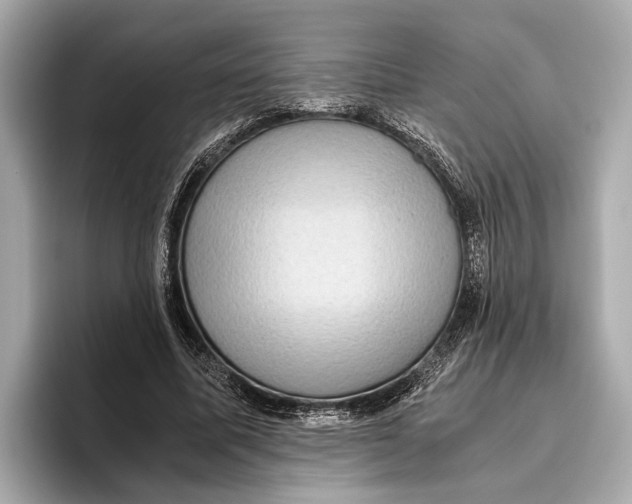 X0000096640587200802261300