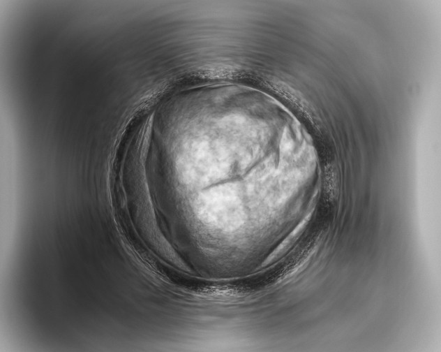 X0000096640589200802261300