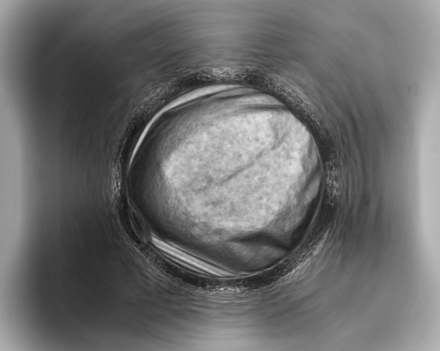 X0000096640593200802261300