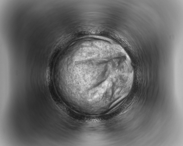 X0000096640594200802261300