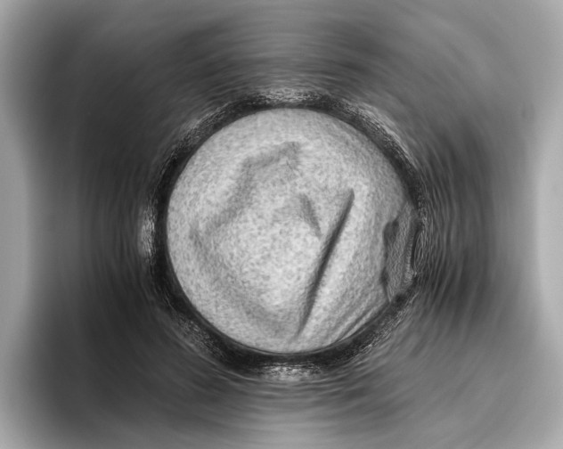 X0000096640596200802261300