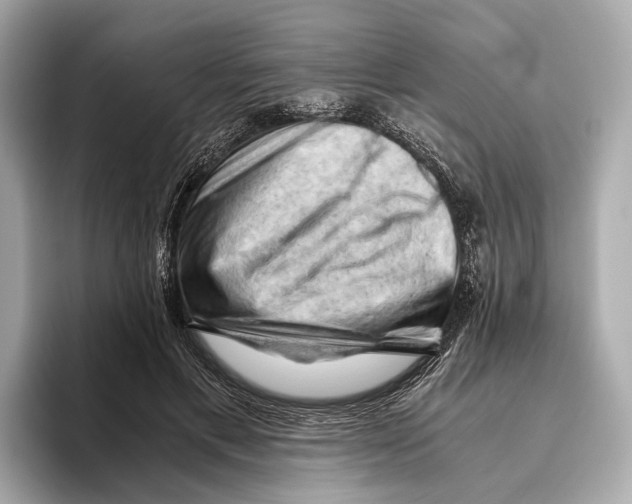 X0000096640597200802261300