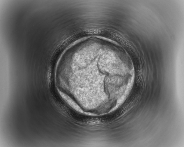 X0000096640600200802261300