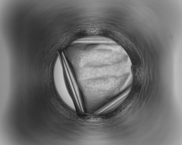 X0000096640601200802261300