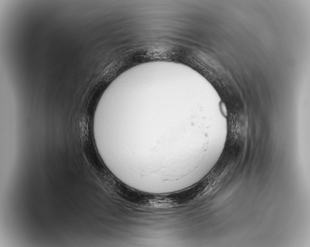 X0000096640603200802261259