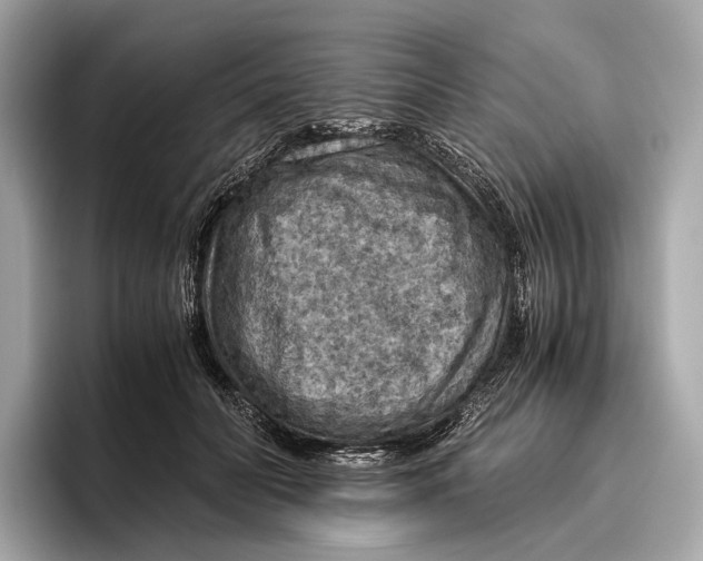 X0000096640606200802261259