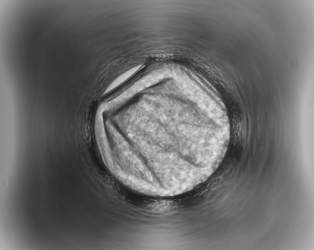 X0000096640609200802261259