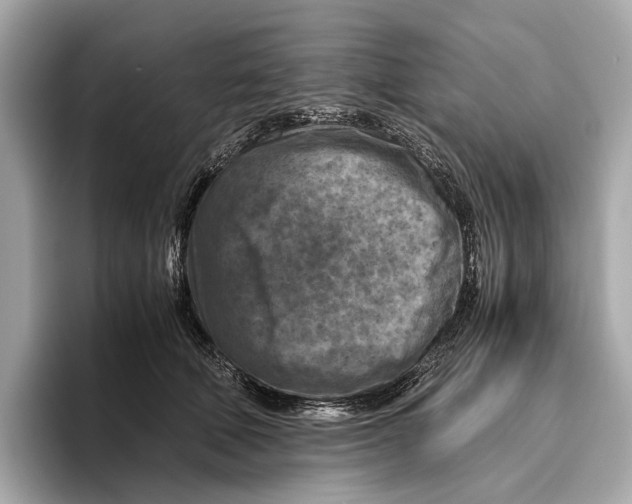 X0000096640610200802261259