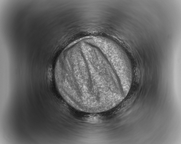 X0000096640612200802261259