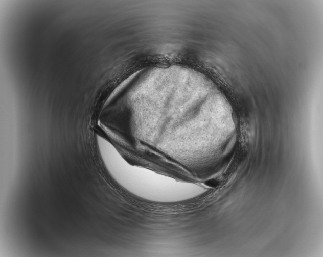 X0000096640613200802261259