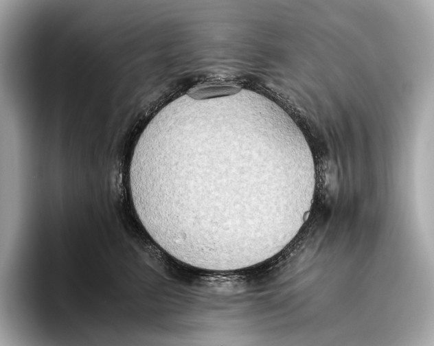 X0000096640615200802261259