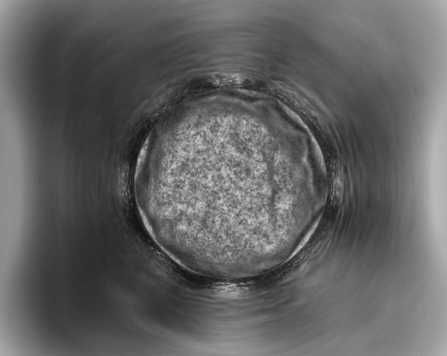 X0000096640616200802261259