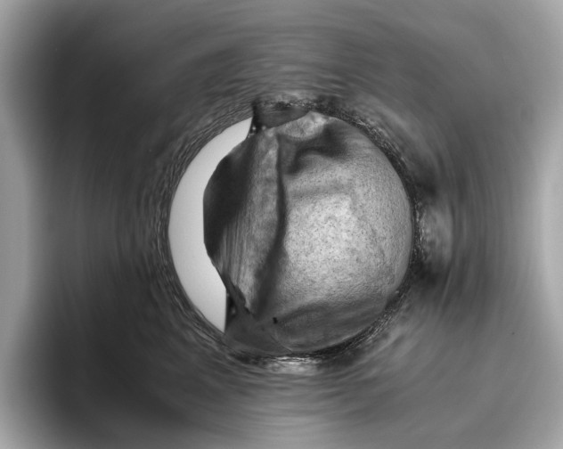 X0000096640617200802261259