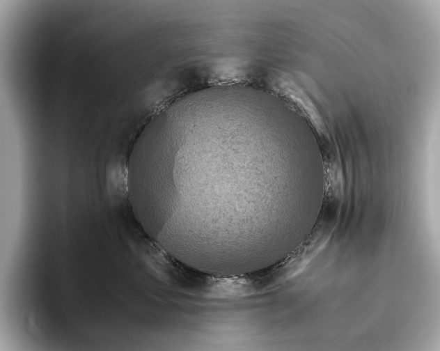 X0000096640621200802261259