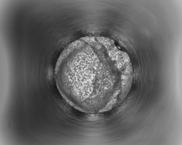 X0000096640623200802261259