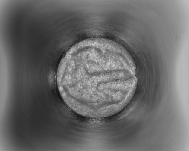 X0000096640624200802261259