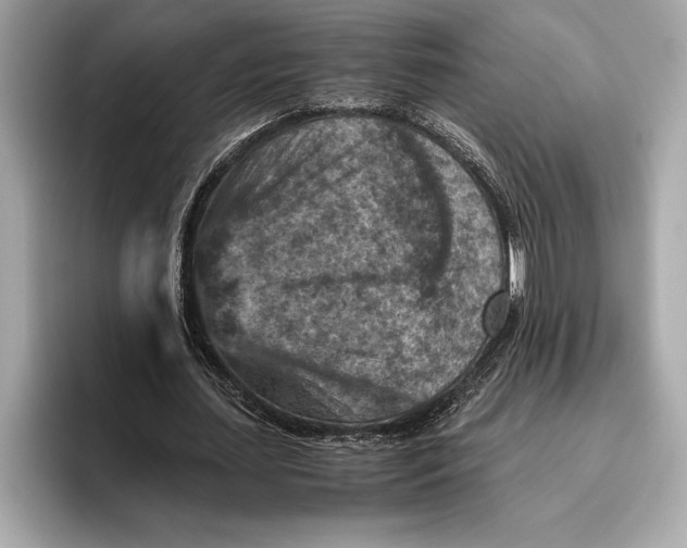 X0000096640627200802261258