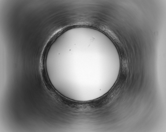 X0000096640628200802261258