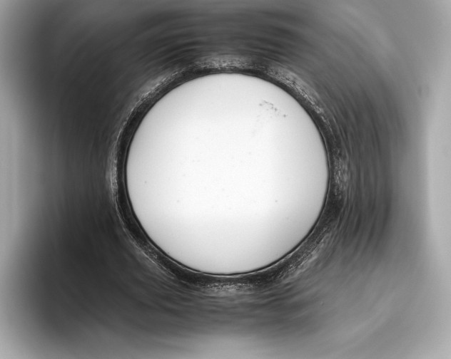 X0000096640629200802261259