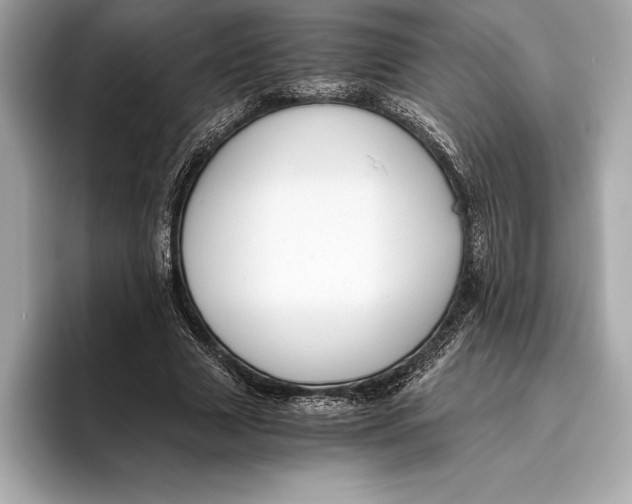 X0000096640633200802261259