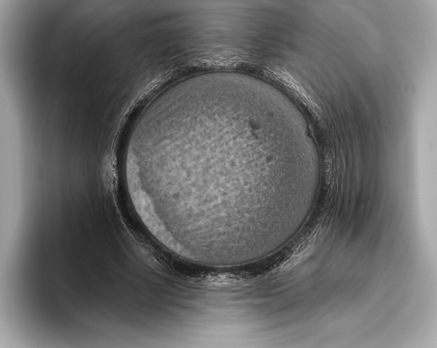 X0000096640634200802261259