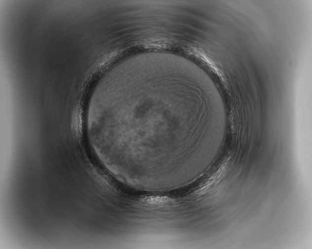 X0000096640637200802261259