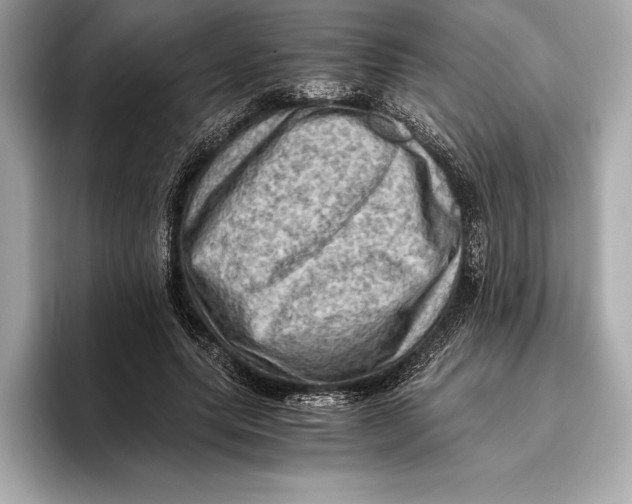 X0000096640639200802261259