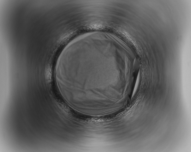 X0000096640640200802261259