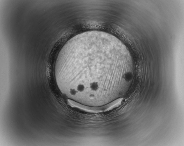 X0000096640643200802261259