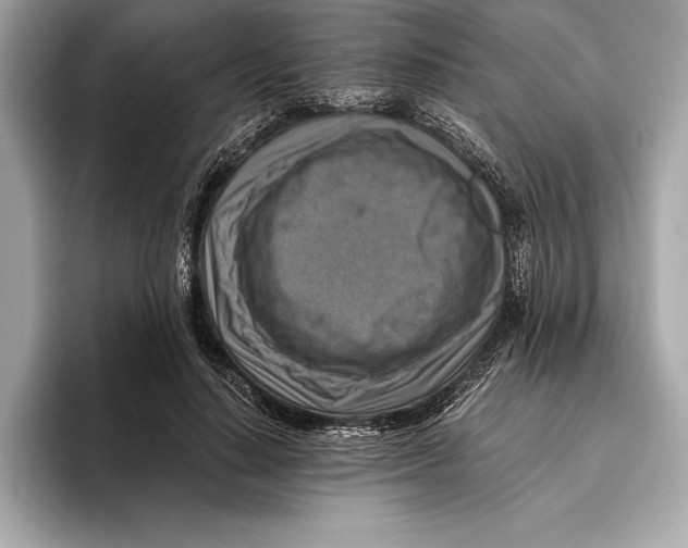 X0000096640644200802261259