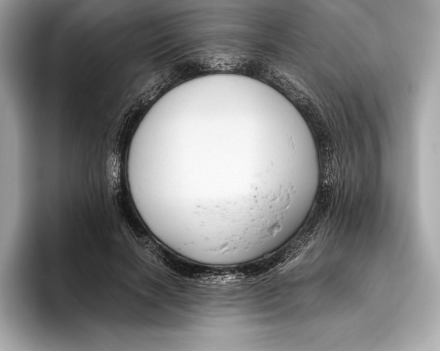 X0000096640646200802261259