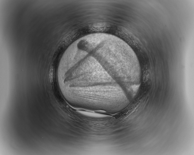 X0000096640647200802261259