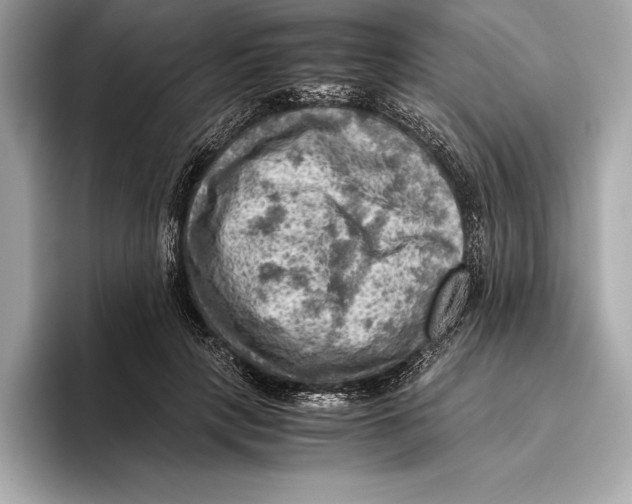 X0000096640649200802261259