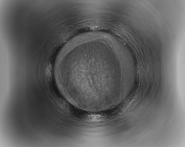 X0000096640650200802261259