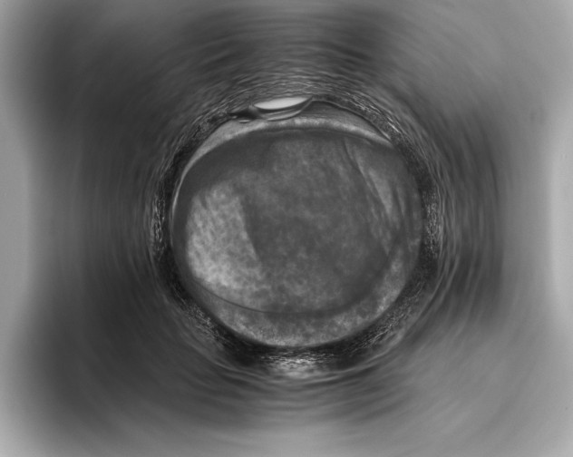 X0000096640653200802261259