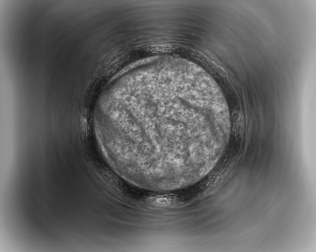 X0000096640655200802261259