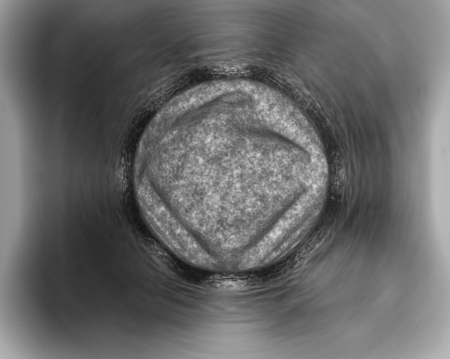 X0000096640658200802261259