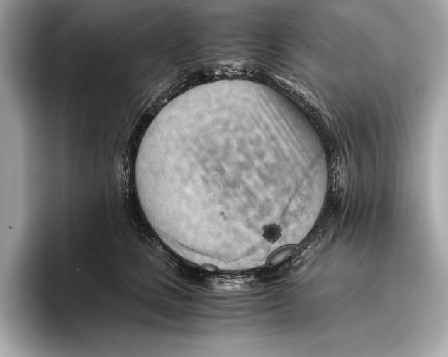 X0000096640661200802261259