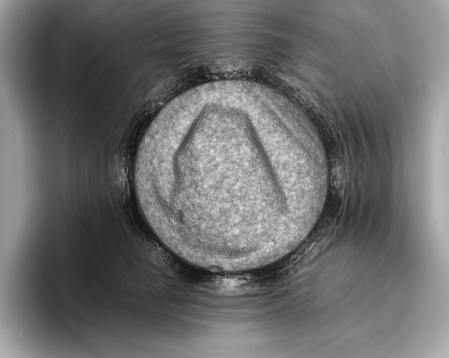 X0000096640662200802261259