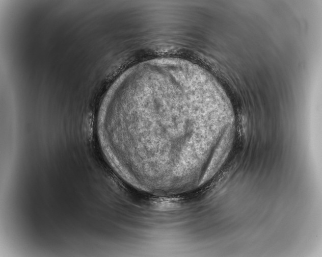 X0000096640664200802261259