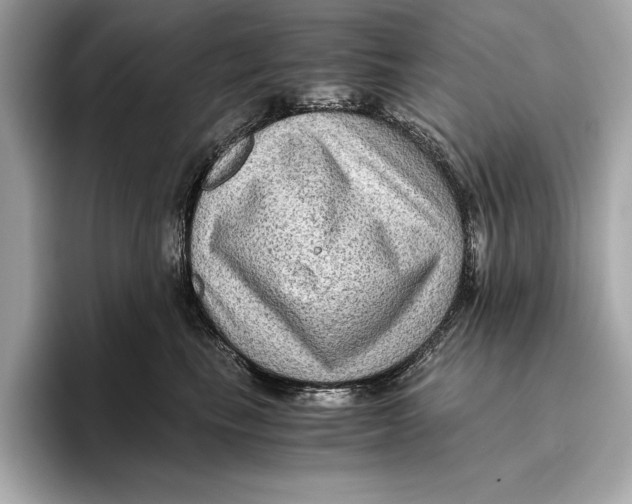 X0000096640665200802261259