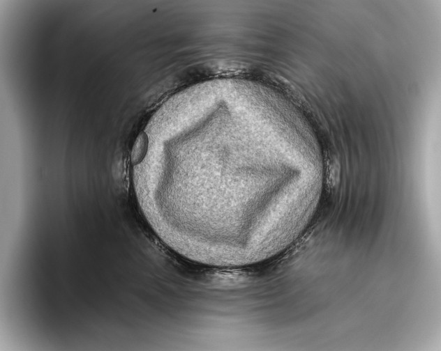 X0000096640666200802261259