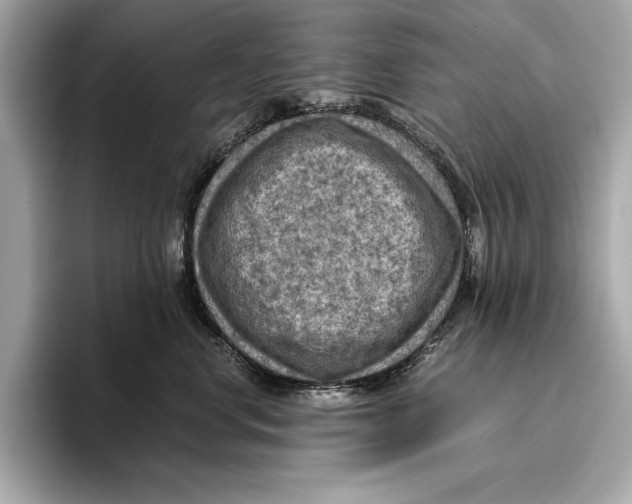 X0000096640668200802261259