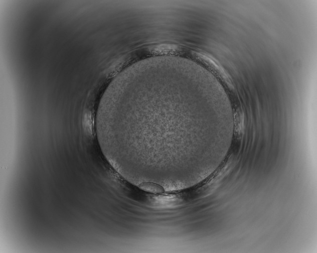 X0000096640669200802261259