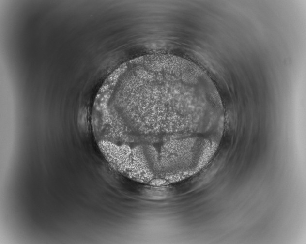 X0000096640671200802261259